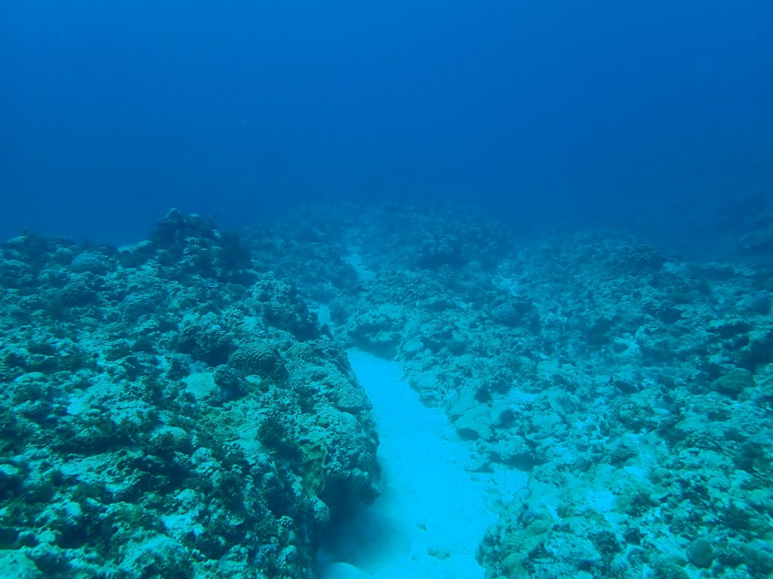 海の底で全世界につながってる海底ケーブルについて - 株式会社 ...