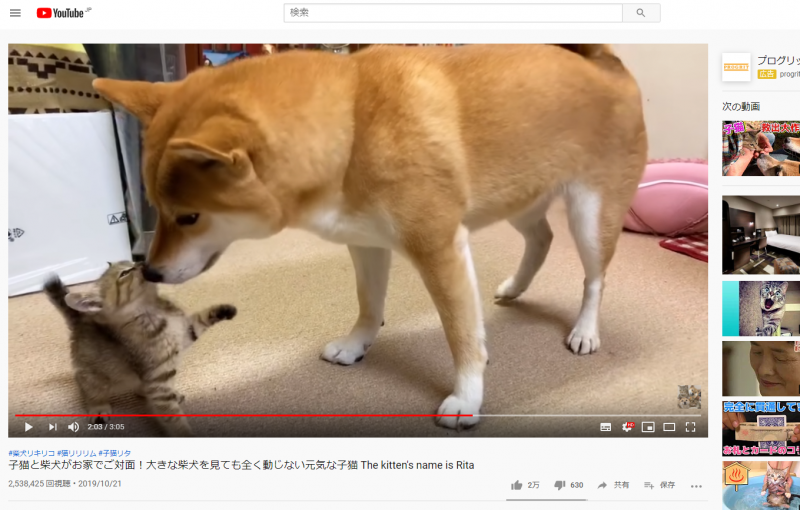 youtube動画ページ