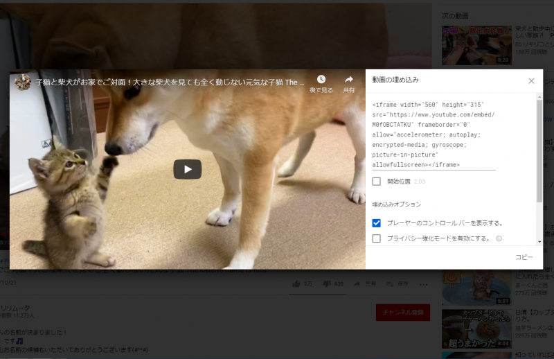 「動画の埋め込み」タグ表示画面