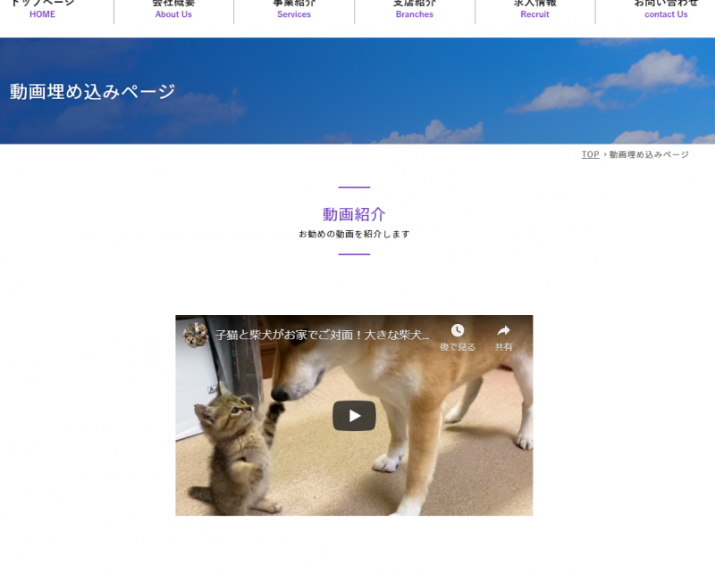 動画の埋め込み完了